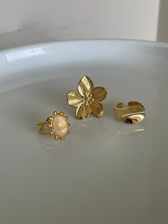 Anillos