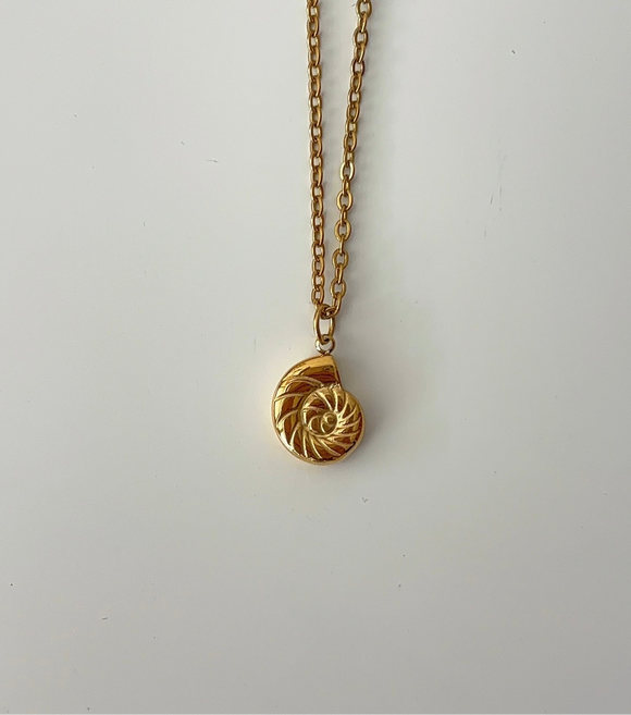 Mini snail