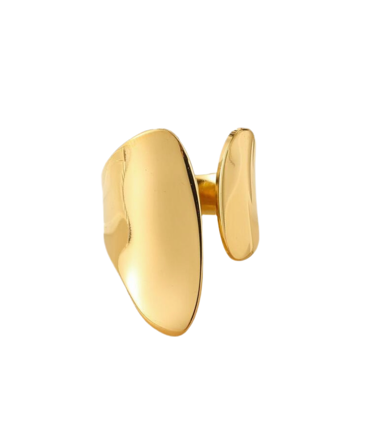 Lisa's ring