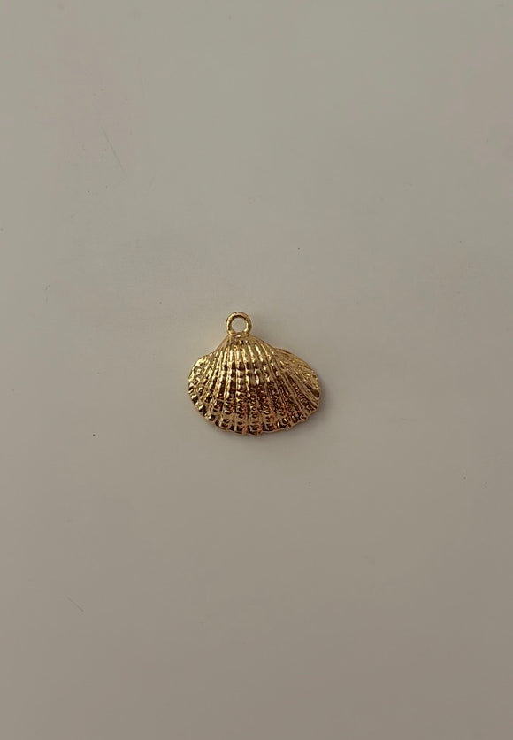 Shell charm