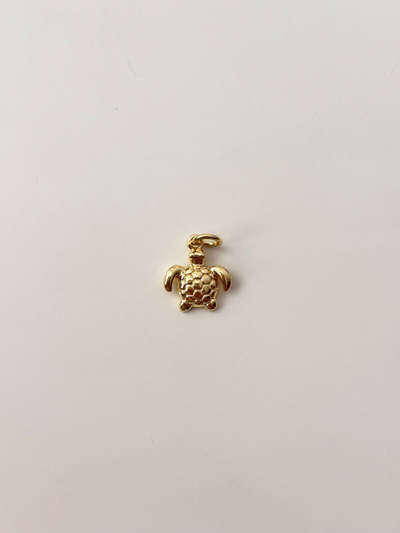 Baby turtle