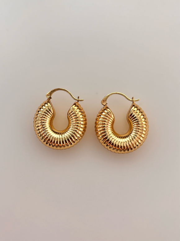 Caracol hoops