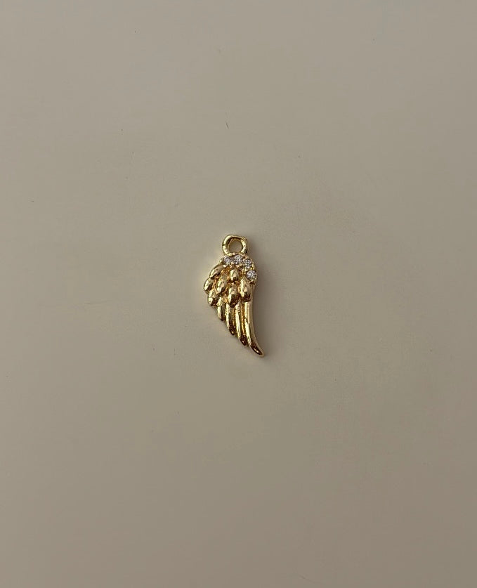 Wing charm