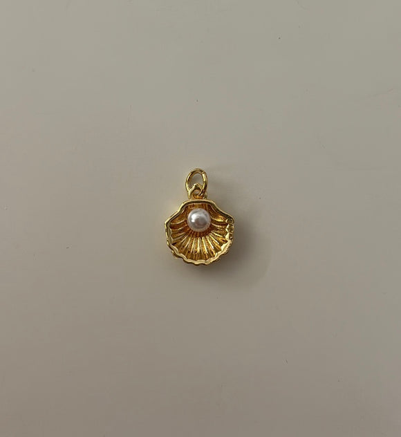 Shell charm