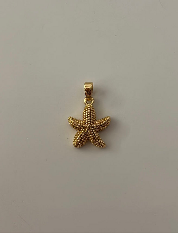 Starfish charm