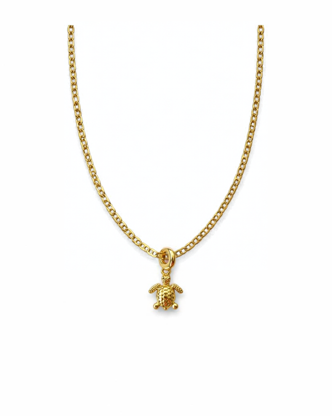 Collar de tortuga