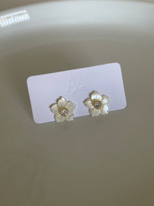 Amapola