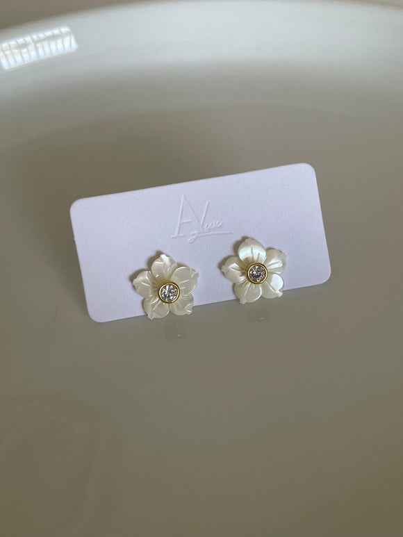Amapola